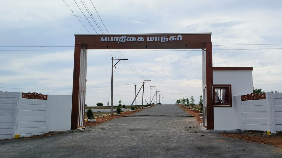 portfolio-image